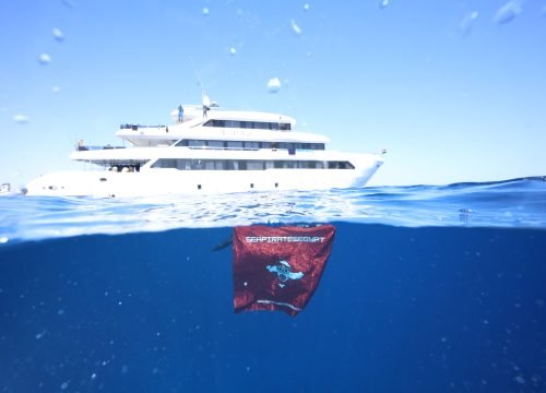 Red Sea liveaboard diving