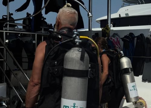 topaz liveaboard,,.,