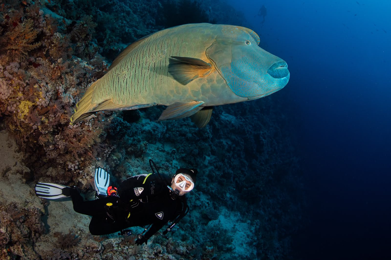Tiran Dahab