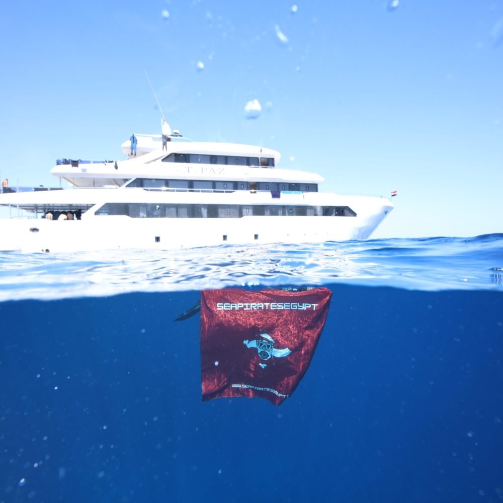 Red Sea liveaboard diving
